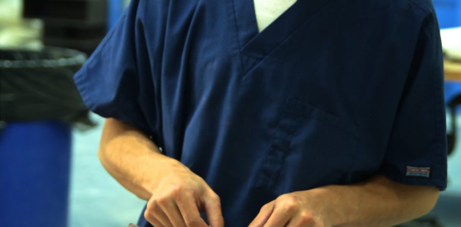 Sed blandit massa vel